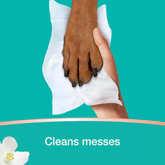 Pampers Wipes, Clean & Calm, Cotton Blossom Scent, 336 Wipes Total (6X Pop-Top Packs)